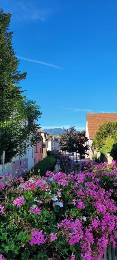Le Cocon Du Rimbach Apartment Soultz-Haut-Rhin Luaran gambar